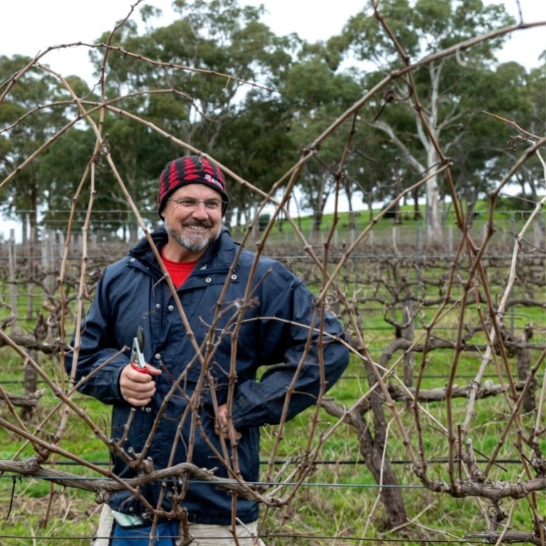 Macca in the vines